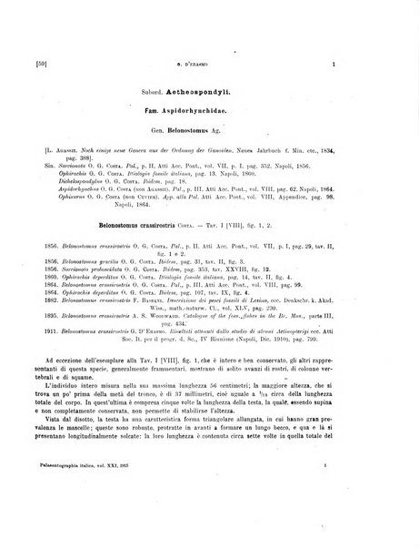 Palaeontographia Italica raccolta di monografie paleontologiche fondata da Mario Canavari nell'anno 1895