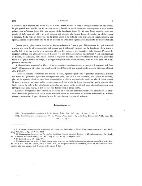 Palaeontographia Italica raccolta di monografie paleontologiche fondata da Mario Canavari nell'anno 1895