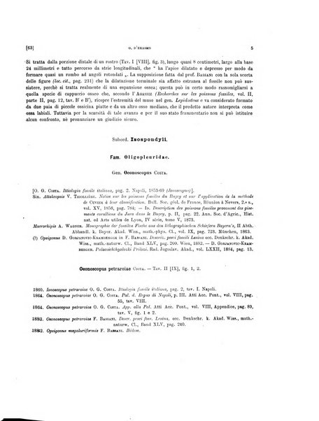 Palaeontographia Italica raccolta di monografie paleontologiche fondata da Mario Canavari nell'anno 1895