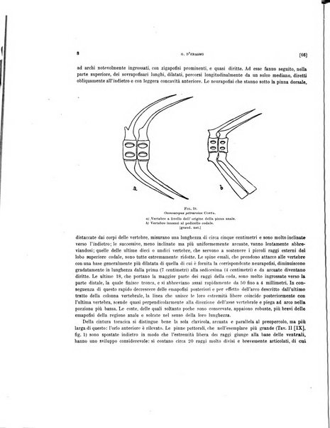 Palaeontographia Italica raccolta di monografie paleontologiche fondata da Mario Canavari nell'anno 1895