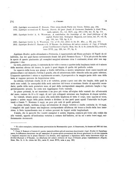 Palaeontographia Italica raccolta di monografie paleontologiche fondata da Mario Canavari nell'anno 1895