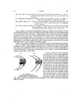 giornale/VEA0025754/1915/unico/00000026