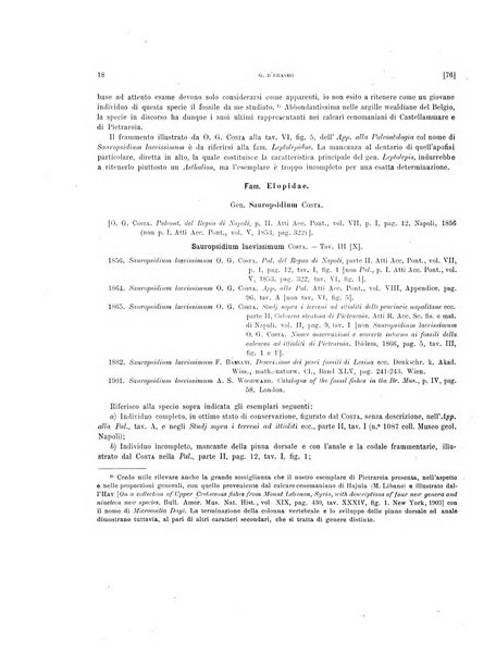 Palaeontographia Italica raccolta di monografie paleontologiche fondata da Mario Canavari nell'anno 1895