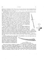 giornale/VEA0025754/1915/unico/00000031