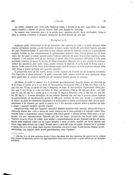 Palaeontographia Italica raccolta di monografie paleontologiche fondata da Mario Canavari nell'anno 1895