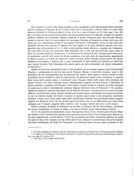 Palaeontographia Italica raccolta di monografie paleontologiche fondata da Mario Canavari nell'anno 1895