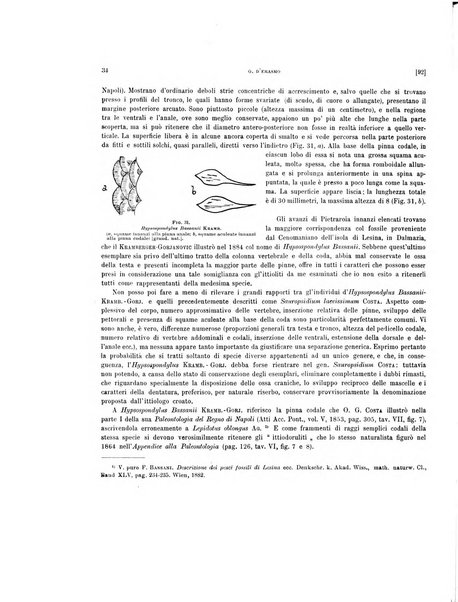 Palaeontographia Italica raccolta di monografie paleontologiche fondata da Mario Canavari nell'anno 1895