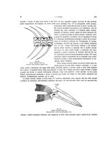 giornale/VEA0025754/1915/unico/00000046