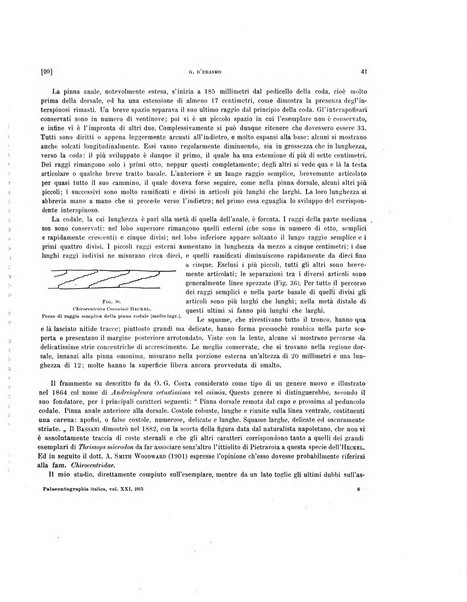 Palaeontographia Italica raccolta di monografie paleontologiche fondata da Mario Canavari nell'anno 1895