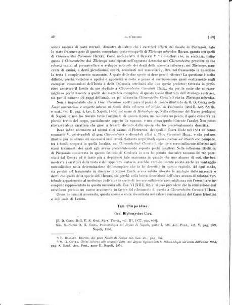 Palaeontographia Italica raccolta di monografie paleontologiche fondata da Mario Canavari nell'anno 1895