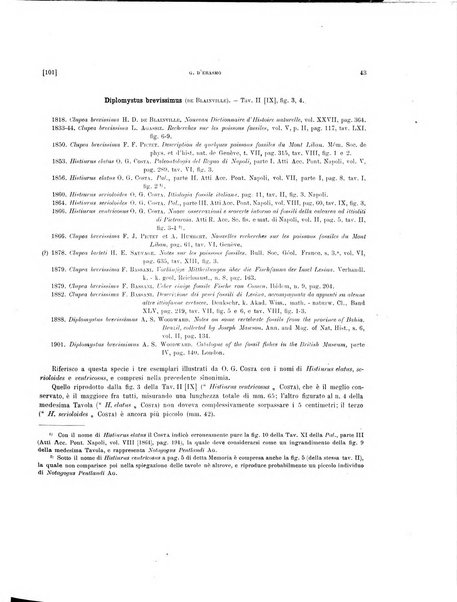 Palaeontographia Italica raccolta di monografie paleontologiche fondata da Mario Canavari nell'anno 1895