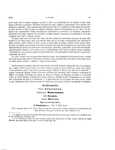 Palaeontographia Italica raccolta di monografie paleontologiche fondata da Mario Canavari nell'anno 1895