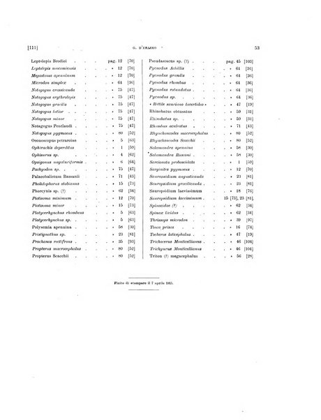 Palaeontographia Italica raccolta di monografie paleontologiche fondata da Mario Canavari nell'anno 1895