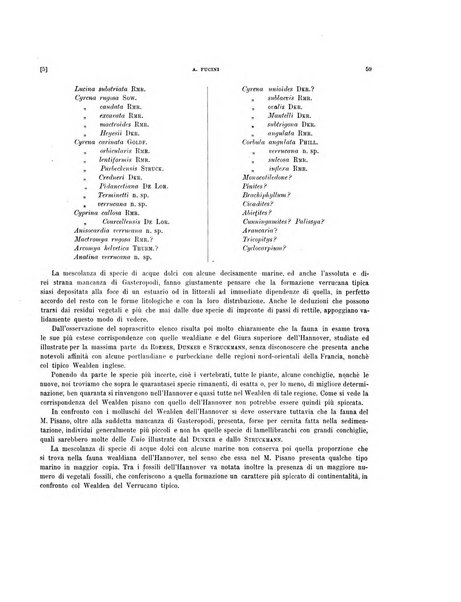 Palaeontographia Italica raccolta di monografie paleontologiche fondata da Mario Canavari nell'anno 1895