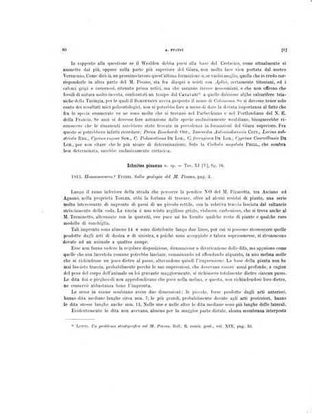 Palaeontographia Italica raccolta di monografie paleontologiche fondata da Mario Canavari nell'anno 1895