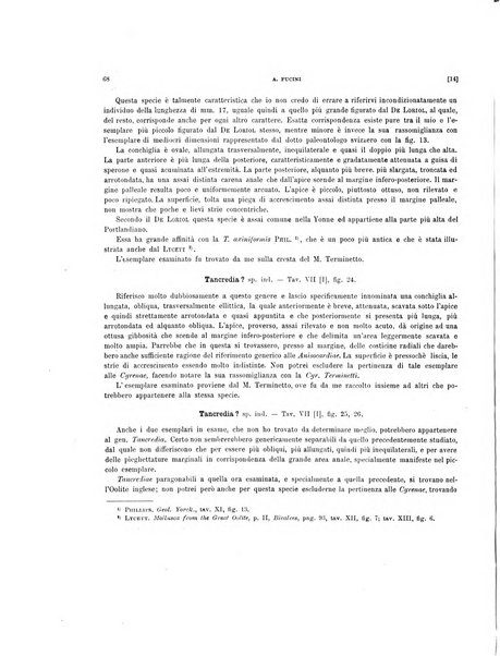 Palaeontographia Italica raccolta di monografie paleontologiche fondata da Mario Canavari nell'anno 1895