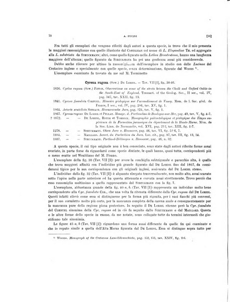 Palaeontographia Italica raccolta di monografie paleontologiche fondata da Mario Canavari nell'anno 1895