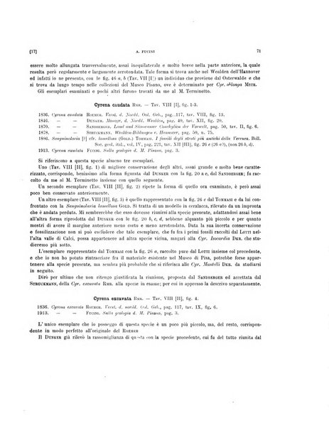 Palaeontographia Italica raccolta di monografie paleontologiche fondata da Mario Canavari nell'anno 1895