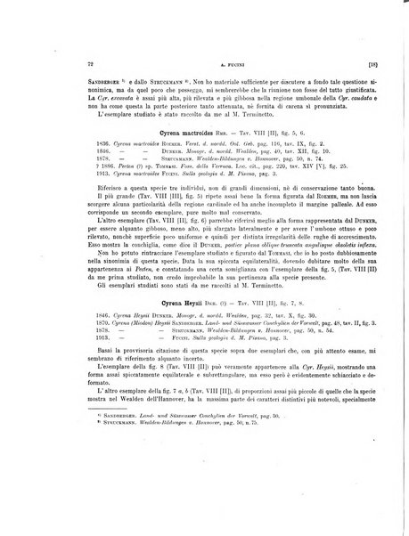 Palaeontographia Italica raccolta di monografie paleontologiche fondata da Mario Canavari nell'anno 1895