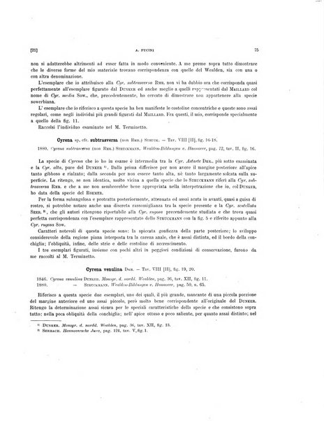 Palaeontographia Italica raccolta di monografie paleontologiche fondata da Mario Canavari nell'anno 1895