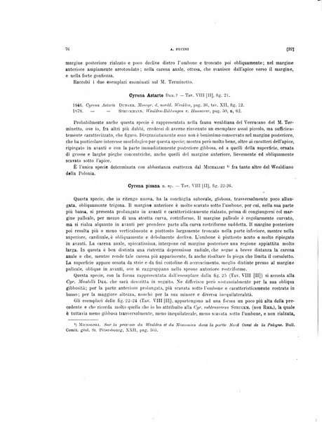 Palaeontographia Italica raccolta di monografie paleontologiche fondata da Mario Canavari nell'anno 1895