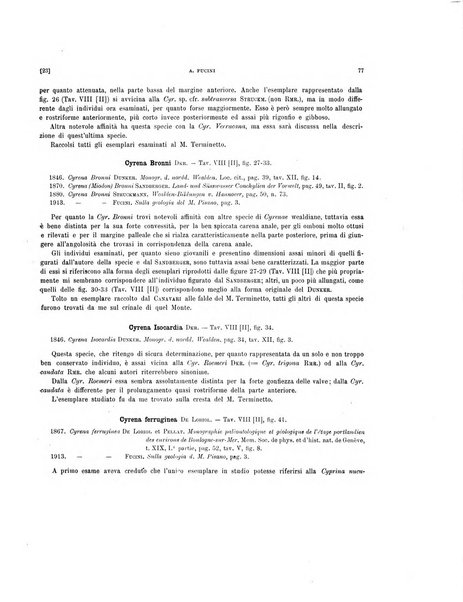 Palaeontographia Italica raccolta di monografie paleontologiche fondata da Mario Canavari nell'anno 1895