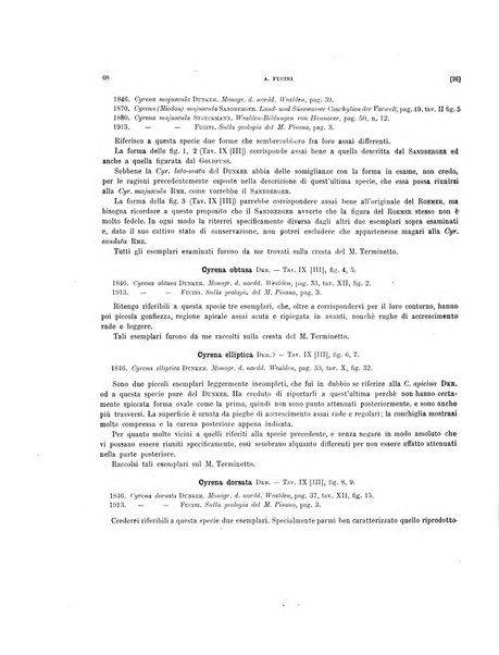 Palaeontographia Italica raccolta di monografie paleontologiche fondata da Mario Canavari nell'anno 1895