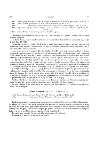 Palaeontographia Italica raccolta di monografie paleontologiche fondata da Mario Canavari nell'anno 1895