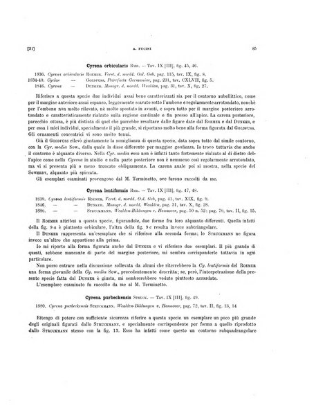 Palaeontographia Italica raccolta di monografie paleontologiche fondata da Mario Canavari nell'anno 1895