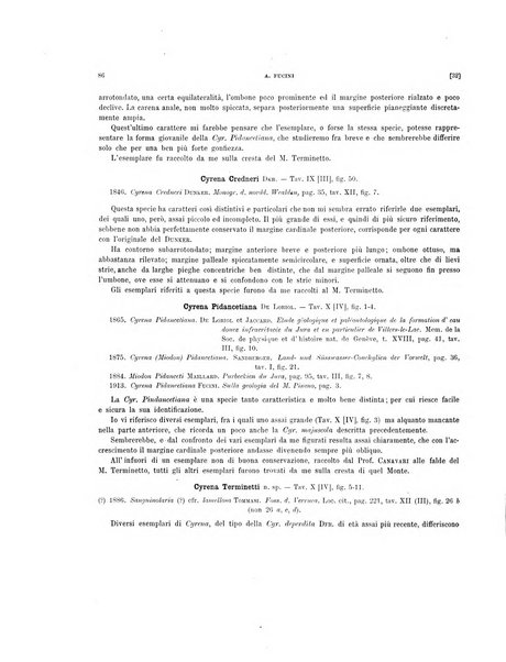 Palaeontographia Italica raccolta di monografie paleontologiche fondata da Mario Canavari nell'anno 1895