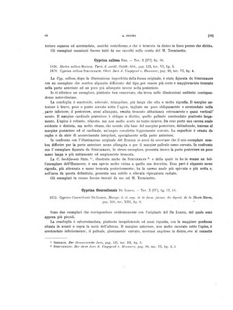 Palaeontographia Italica raccolta di monografie paleontologiche fondata da Mario Canavari nell'anno 1895