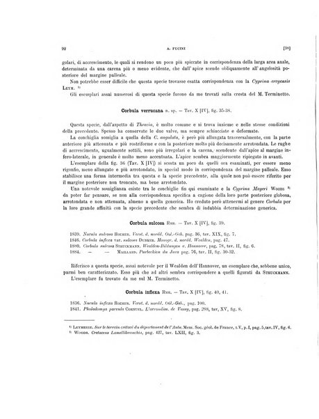 Palaeontographia Italica raccolta di monografie paleontologiche fondata da Mario Canavari nell'anno 1895