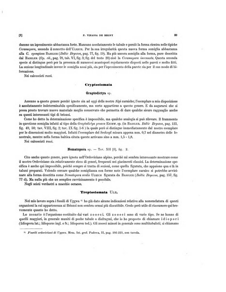 Palaeontographia Italica raccolta di monografie paleontologiche fondata da Mario Canavari nell'anno 1895