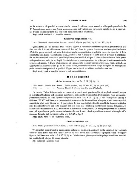 Palaeontographia Italica raccolta di monografie paleontologiche fondata da Mario Canavari nell'anno 1895