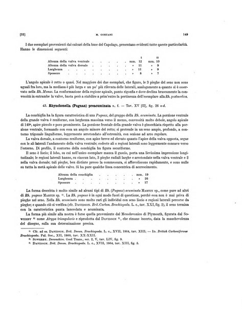 Palaeontographia Italica raccolta di monografie paleontologiche fondata da Mario Canavari nell'anno 1895