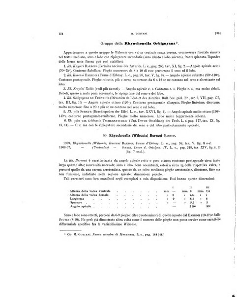 Palaeontographia Italica raccolta di monografie paleontologiche fondata da Mario Canavari nell'anno 1895