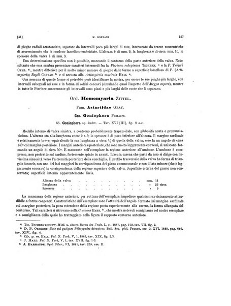 Palaeontographia Italica raccolta di monografie paleontologiche fondata da Mario Canavari nell'anno 1895