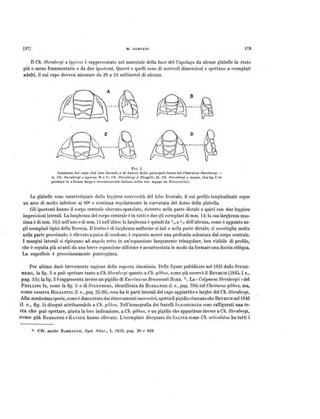 Palaeontographia Italica raccolta di monografie paleontologiche fondata da Mario Canavari nell'anno 1895