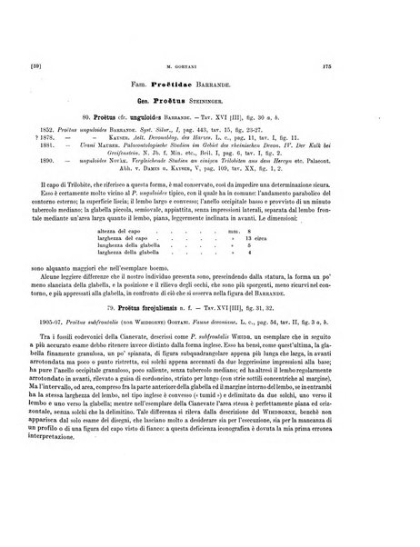 Palaeontographia Italica raccolta di monografie paleontologiche fondata da Mario Canavari nell'anno 1895