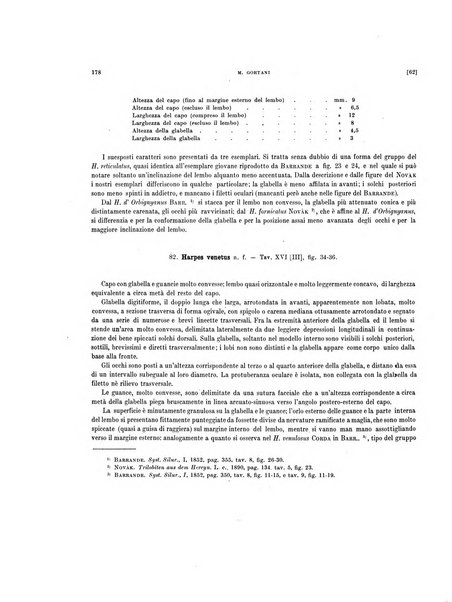 Palaeontographia Italica raccolta di monografie paleontologiche fondata da Mario Canavari nell'anno 1895