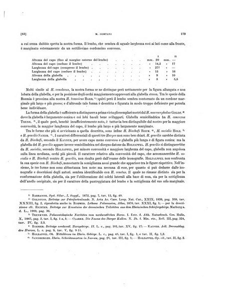 Palaeontographia Italica raccolta di monografie paleontologiche fondata da Mario Canavari nell'anno 1895