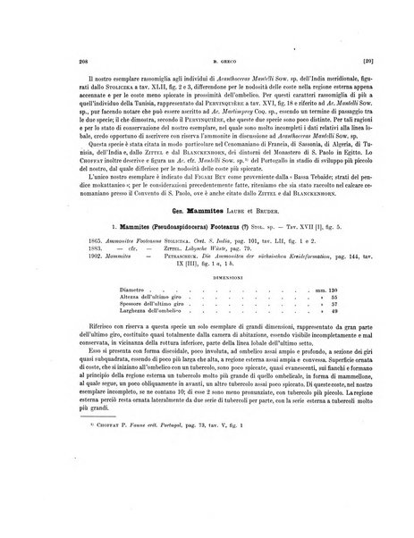 Palaeontographia Italica raccolta di monografie paleontologiche fondata da Mario Canavari nell'anno 1895