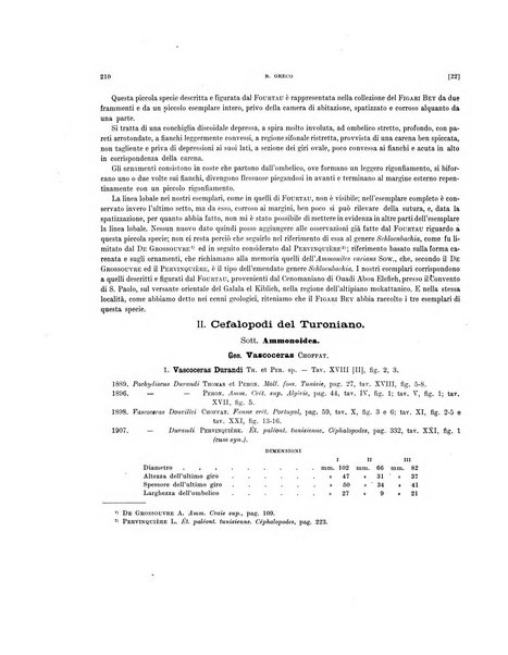 Palaeontographia Italica raccolta di monografie paleontologiche fondata da Mario Canavari nell'anno 1895