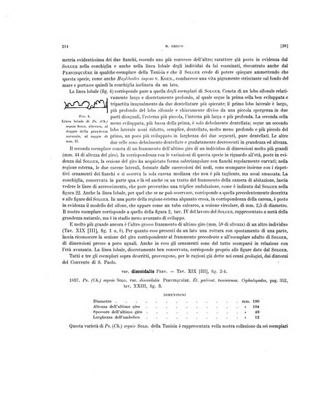 Palaeontographia Italica raccolta di monografie paleontologiche fondata da Mario Canavari nell'anno 1895