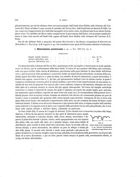 Palaeontographia Italica raccolta di monografie paleontologiche fondata da Mario Canavari nell'anno 1895