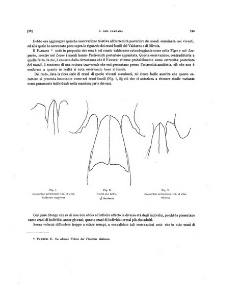 Palaeontographia Italica raccolta di monografie paleontologiche fondata da Mario Canavari nell'anno 1895