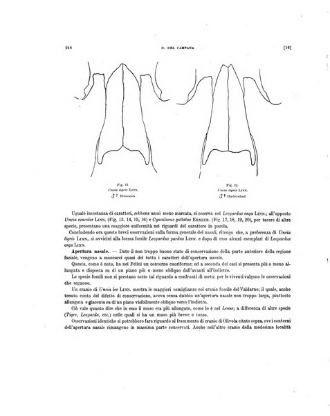 Palaeontographia Italica raccolta di monografie paleontologiche fondata da Mario Canavari nell'anno 1895