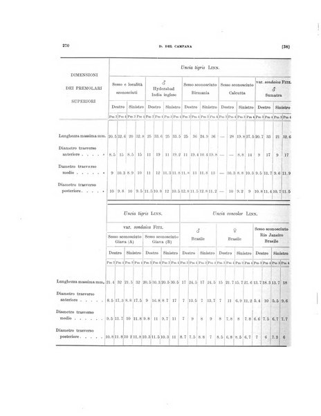 Palaeontographia Italica raccolta di monografie paleontologiche fondata da Mario Canavari nell'anno 1895