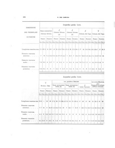 Palaeontographia Italica raccolta di monografie paleontologiche fondata da Mario Canavari nell'anno 1895