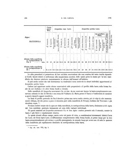 Palaeontographia Italica raccolta di monografie paleontologiche fondata da Mario Canavari nell'anno 1895